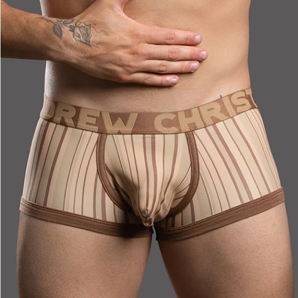 Andrew Christian Other - Andrew Christian DUNES STRIPE BOXER